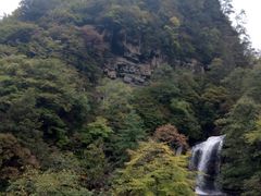 -黎坪国家森林公园