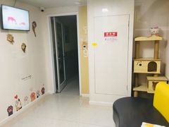 -谐和贝康宠物医院24小时·宠保定点(急重症转诊中心)