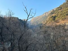 -泰山风景名胜区