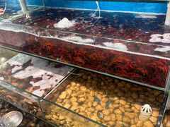 -仙螺岛海鲜自助餐厅(总店)
