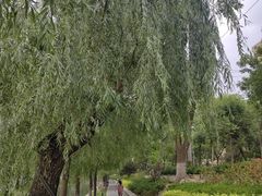 -北京东直门智选假日酒店