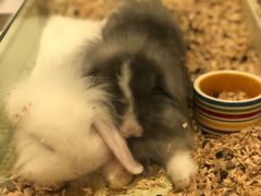 -龙猫仔乐园(惠福东路店)