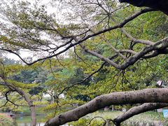 -广州雕塑公园