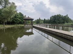 -同里国家湿地公园