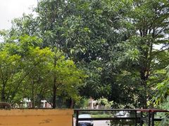 -广州冠景高尔夫练习场