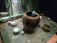 -阮氏酒家(柯桥店)