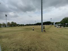 -深圳湾公园(南山区)