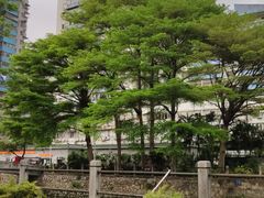-晓港公园