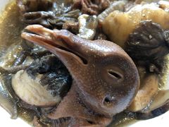 -爱膳菌锅锅(阳南店)