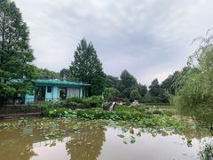 -铁山坪森林公园