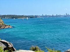 -麦考利夫人座椅