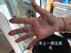 -BALENCIAGA(比斯特苏州购物村店)