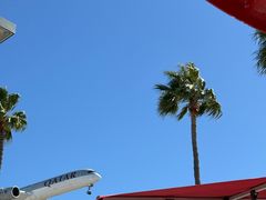 -In-N-Out Burger(LAX)