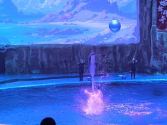 -华夏文旅海洋公园