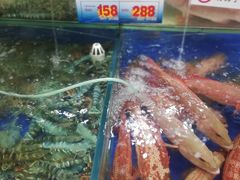 水产区-东江海鲜酒家(艺都分店)