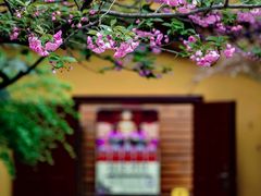 -龙华寺