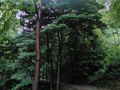 -黄公望隐居地
