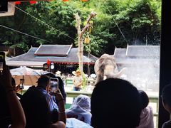 -野象谷景区