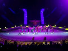 -珠海横琴长隆《卡卡虎奇遇记》