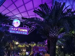 -三亚海昌梦幻海洋不夜城