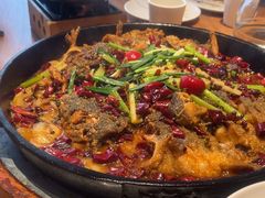 -老板恋上鱼(恒隆广场店)