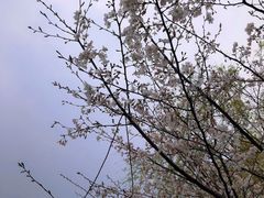 -梁祝景区