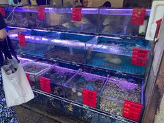 水产区-金海湾海鲜排档(朱家尖店)