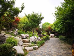 -苏城小院·园林精致苏州菜(斜塘老街店)