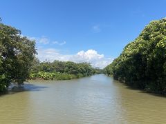 -大湾区中央湿地公园