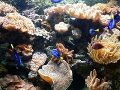 android_upload_pic-郑州海洋馆