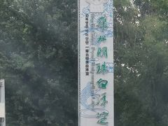 -白洋淀景区