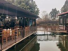-老杨砂锅鱼庄