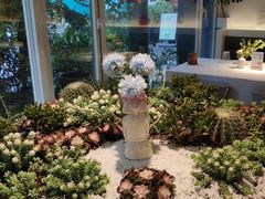 -春树下·树屋花房西餐厅(罍街AS1980店)