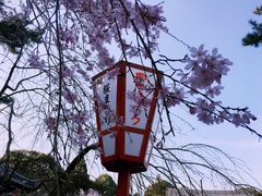 -醍醐寺