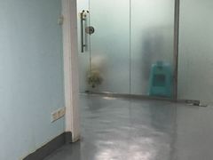 -甄爱宠物医院(疏影路店)
