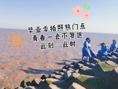 -南汇嘴观海公园