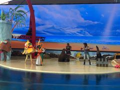 -三亚海昌梦幻海洋不夜城