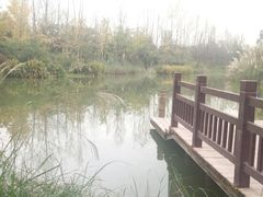 -白鹭湾湿地公园