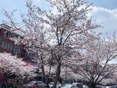 -永乐路-路侧停车场