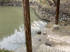 -木子山庄·安徽省老字号·中国炖锅宴