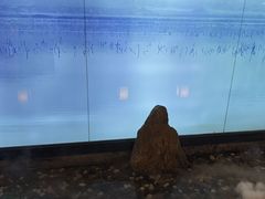 -上足·影院足道·SPA(红岭店)