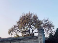 -张学良旧居陈列馆