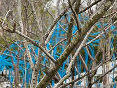 -深圳市宝安体育中心体育场