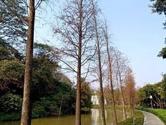 -顺峰山公园