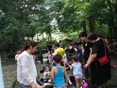 -成都市活水公园