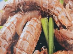 -威海渔村(黄兴路店)