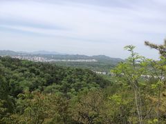 -磬锤峰森林公园