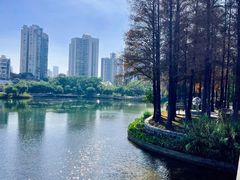 -四海公园(南山区)