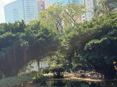 -九龙公园