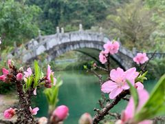 -靖西鹅泉风景区